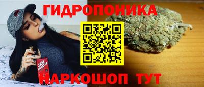 индика Конаково