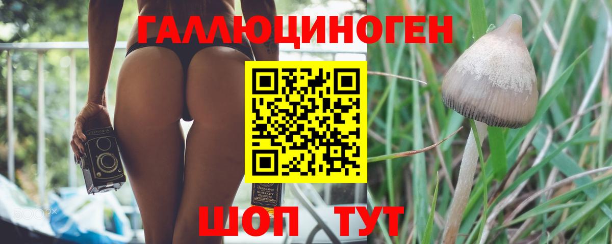 Галлюциногенные грибы Psilocybe  Вход с VPN  Якутск  Галлюциногенные грибы Magic Shrooms 